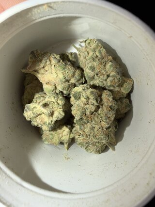 IMG_2358.jpeg