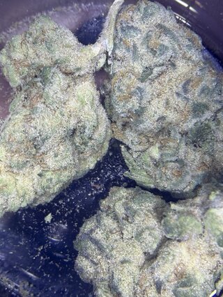 IMG_2366.jpeg