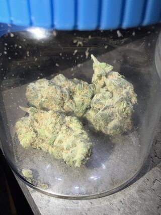IMG_2373.jpeg