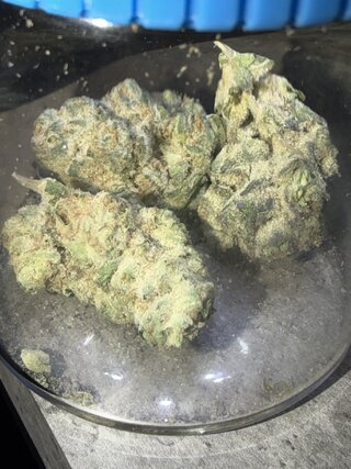 IMG_2374.jpeg