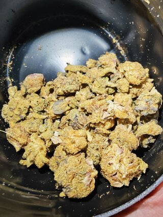 IMG_20260106_125723.jpg