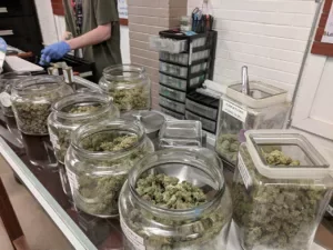 Interior view of a licensed cannabis dispensary representing future pilot project sites in Germany.