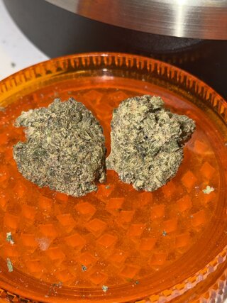 IMG_2412.jpeg