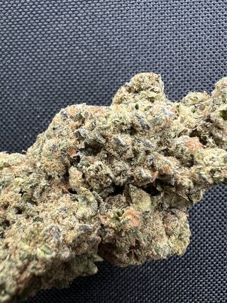 IMG_4111.jpeg