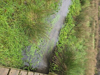 20260108_112307.jpg