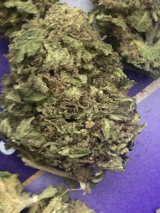 IMG_3065.jpeg