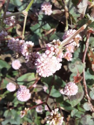20260110_133821.jpg