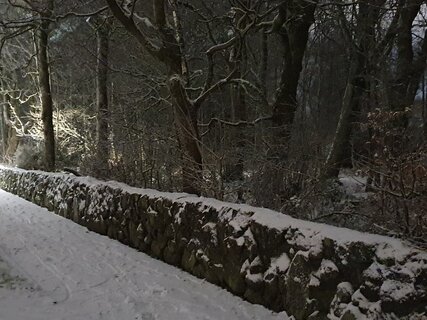 20260108_194840.jpg
