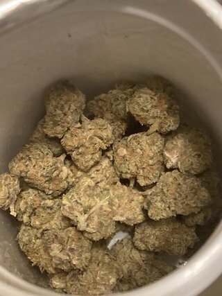 IMG_3067.jpeg