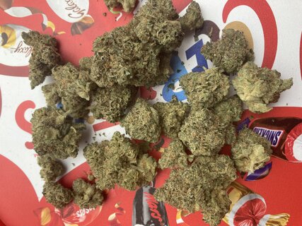 IMG_3072.jpeg