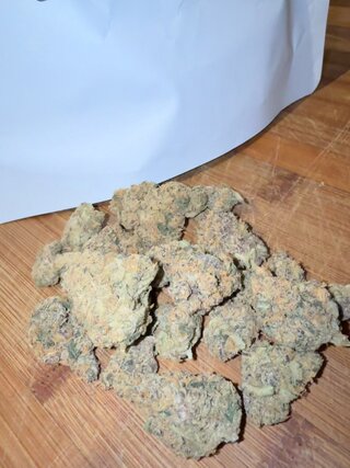 IMG_7948.jpeg