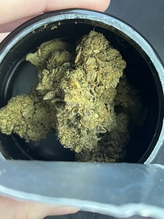 IMG_9805.jpeg