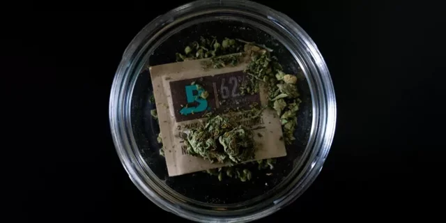 hemp-6274158_1280-750x375.webp