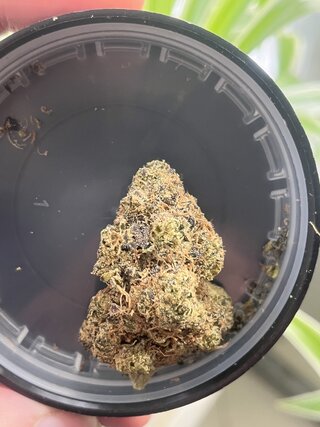 IMG_0630.jpeg