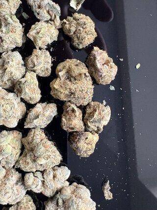 IMG_5521.jpeg