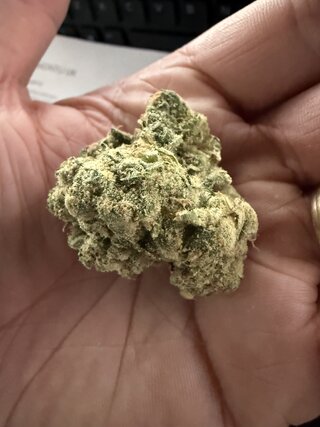 IMG_0292.jpeg