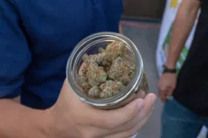 Medical Cannabis Flower, is Europe moving away?