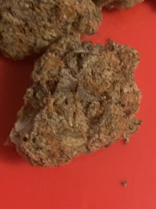 IMG_3083.jpeg