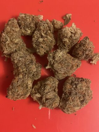 IMG_3084.jpeg