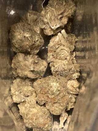 IMG_3087.jpeg