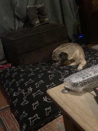 IMG_7322.jpeg