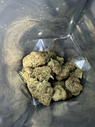 IMG_8581.jpeg