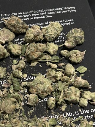 IMG_0126.jpeg