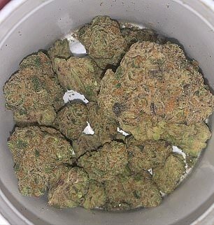 Mr Robinson said: 'Those of you who know me well will know my long standing relationship with cannabis'