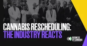 Cannabis Rescheduling: The industry weighs in