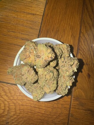 IMG_2343.jpeg