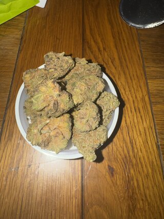 IMG_2346.jpeg
