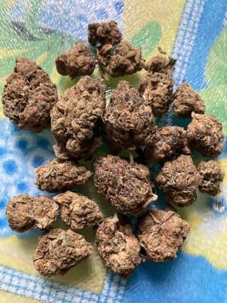 IMG_3108.jpeg