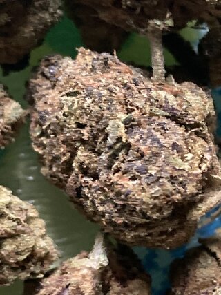 IMG_3109.jpeg