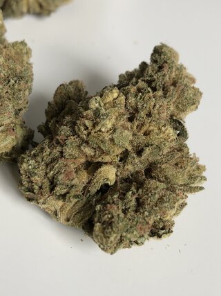 IMG_2075.jpeg