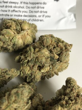 IMG_2076.jpeg