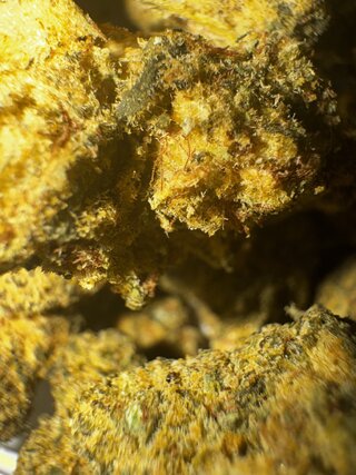 IMG_2447.jpeg