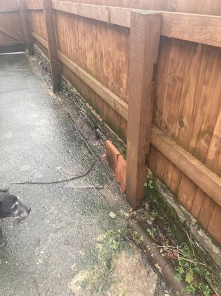 IMG_8040.jpeg