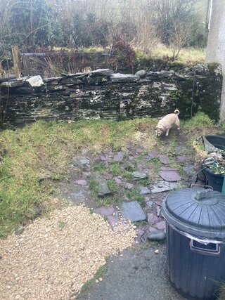 IMG_8041.jpeg