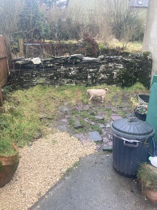 IMG_8042.jpeg