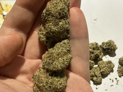 IMG_2727.jpeg