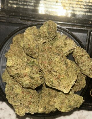 IMG_0513.jpeg