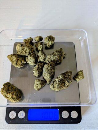 1000013010.jpg