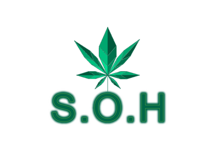 1771597120092.png