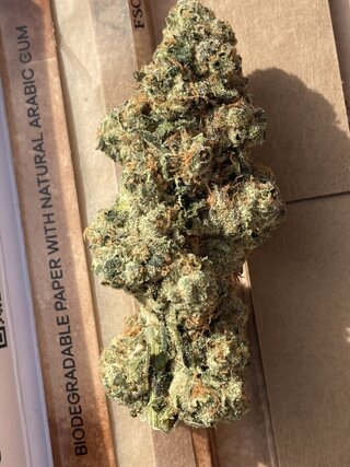 IMG_3147.jpeg