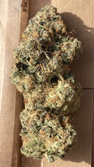 IMG_3146.jpeg