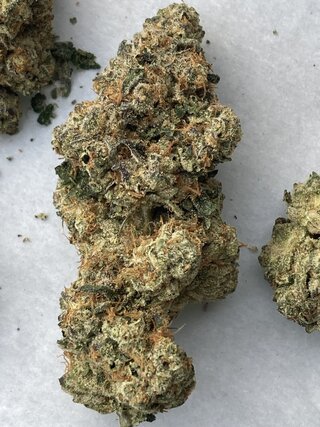IMG_3159.jpeg