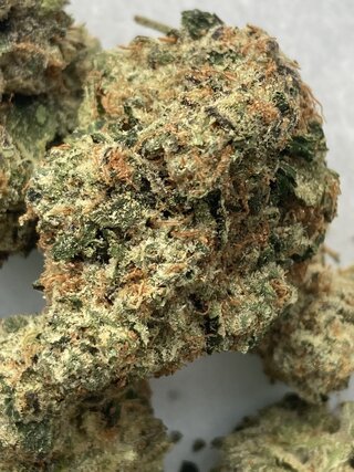 IMG_3157.jpeg