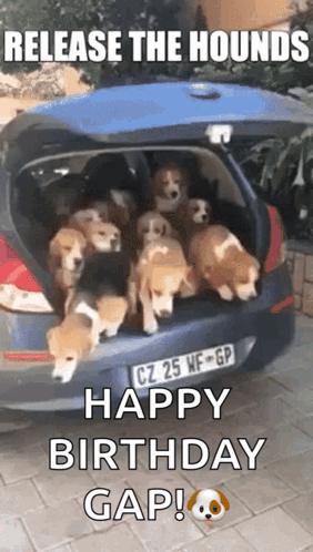 BeaglesReleaseTheHoundsGIF.gif