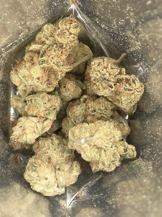 IMG_3168.jpeg