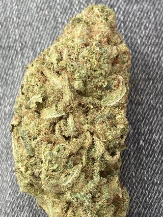 IMG_3171.jpeg